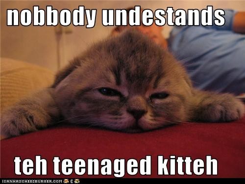 Classic LOLcat