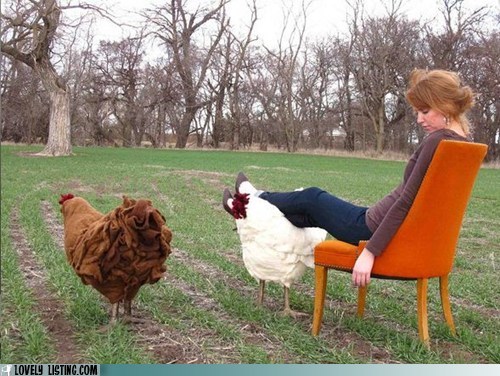 Prop Me Up, Chicken