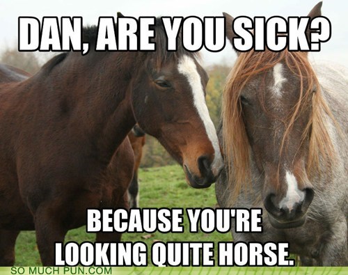 You Might be Catching a Colt