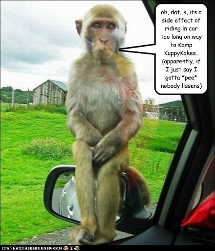 oh, dat, k, its a side effect of riding in car too long on way to Kamp KuppyKakes.. (apparently, if I just say I gotta *pee* nobody lissens)
