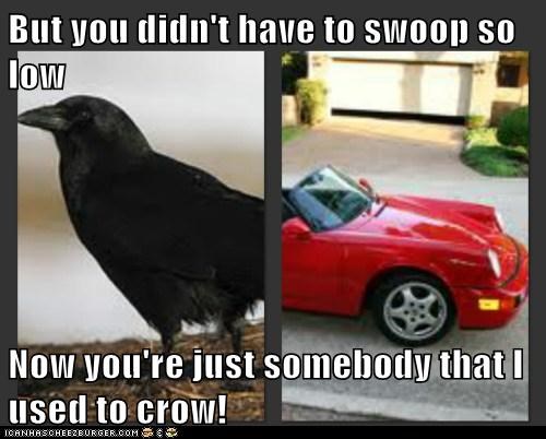But you didn't have to swoop so low  Now you're just somebody that I used to crow!