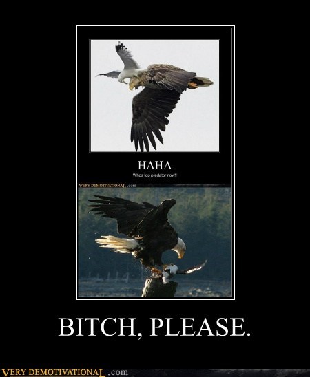 B*TCH, PLEASE.