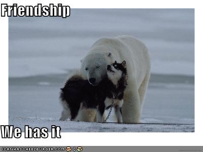 Friendship  We has it
