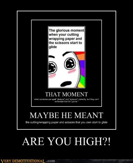 ARE YOU HIGH?!