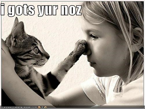 i gots yur noz