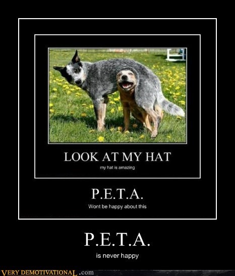 P.E.T.A.