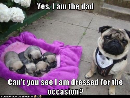 Yes, I am the dad  Can't you see I am dressed for the occasion?
