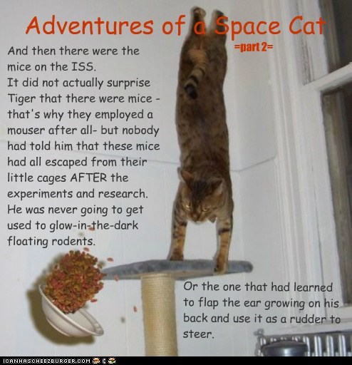 Adventures of a Space Cat =part2=