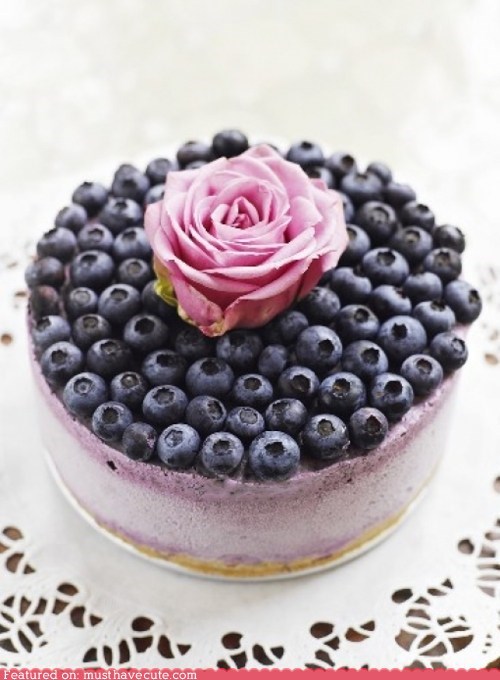 Epicute: Berry Berry Nice