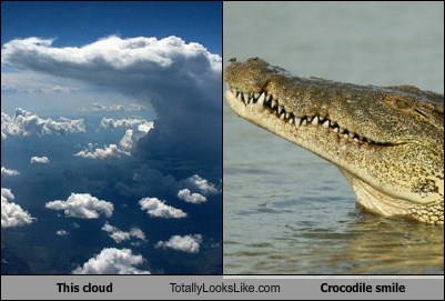 This Cloud Totally Looks Like Crocodile Smile