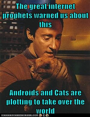 The great internet prophets warned us about this  Androids and Cats are plotting to take over the world