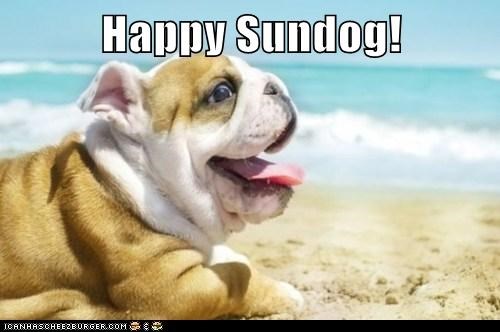 Happy Sundog!