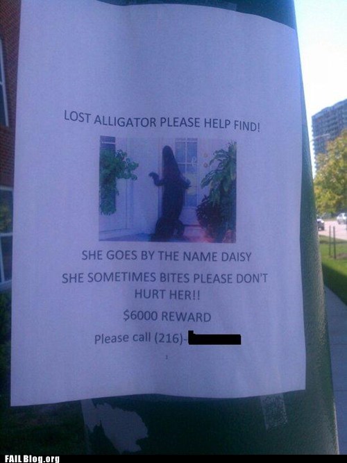 FAIL Nation: Missing Pet FAIL