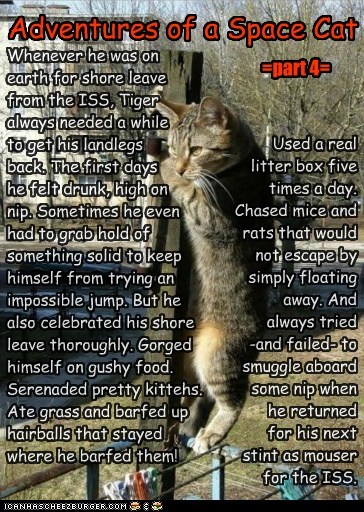 Adventures of a Space Cat =part 4=