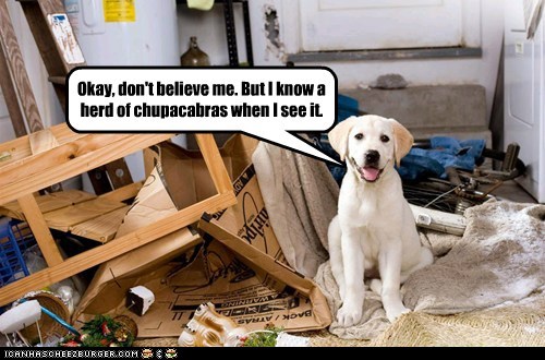 I Has A Hotdog: Chupacabras