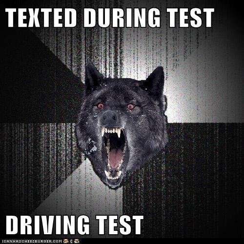 Animal Memes: Insanity Wolf - Still Passed