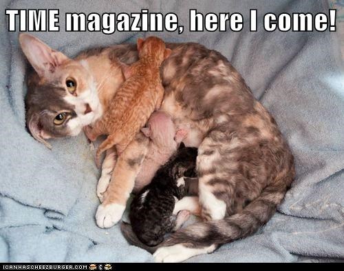 Lolcats: Watch out!
