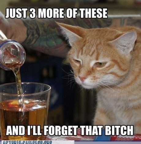 Crunk Critters: Kitteh Traiz to Forget Teh Painz