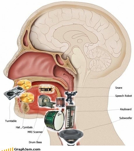 The Anatomy of a Beatboxer