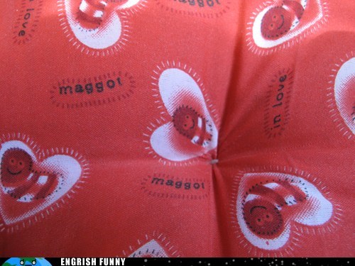 Maggots in Love