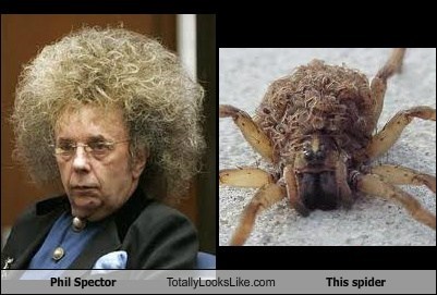 Phil Spector Totally Looks Like This Spider