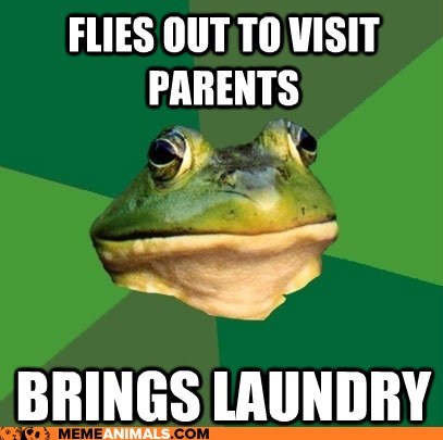 Animal Memes: Foul Bachelor Frog - Still Has No Idea How the Machine Works