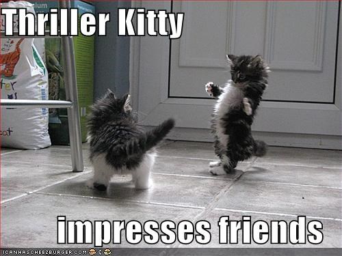 Thriller Kitty  impresses friends