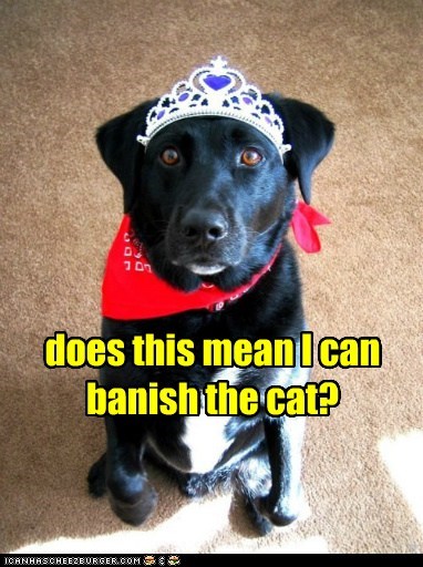 I can haz royal decree?