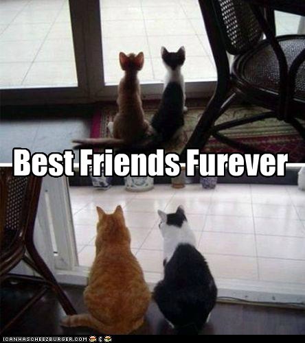 Happy National Best Friends Day!