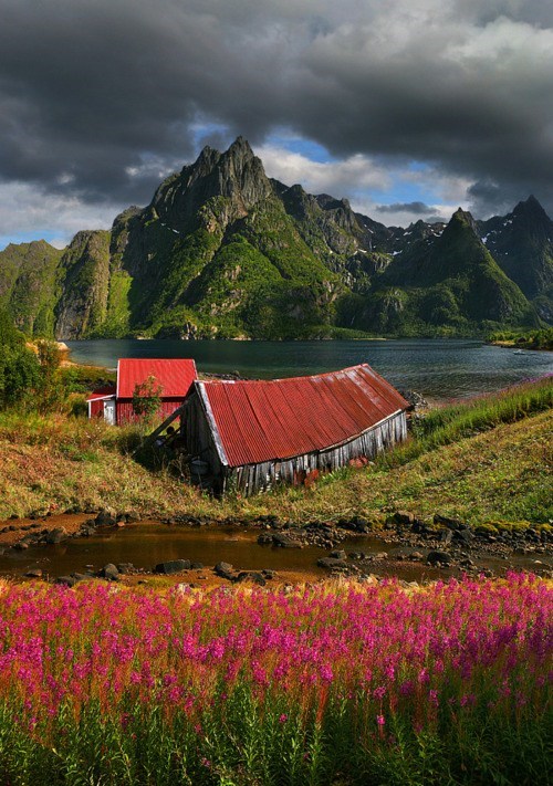 Summer Fjord, Svolaer, Norway