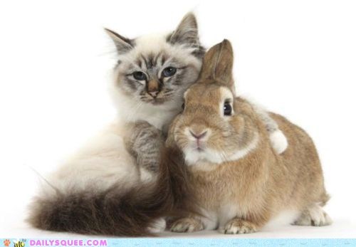 Happy Best Friends Day! 