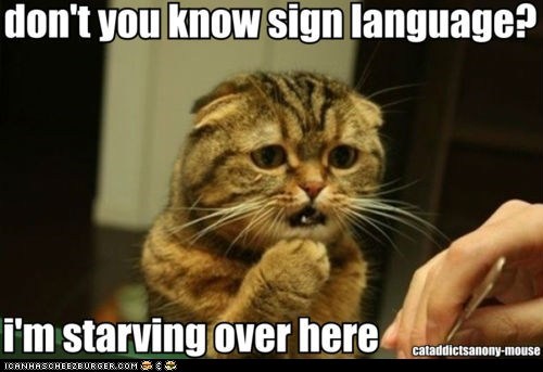 Americat Sign Language