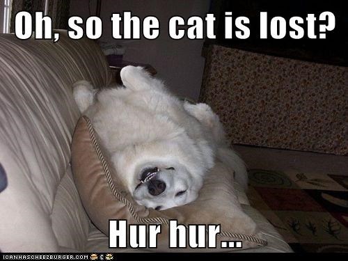 Oh, so the cat is lost?  Hur hur...