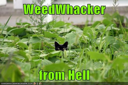 WeedWhacker 