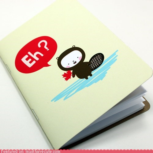 Big Questions Notebook