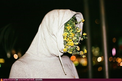 Flower Head