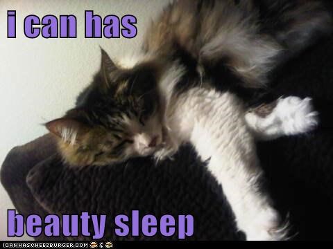 i can has  beauty sleep