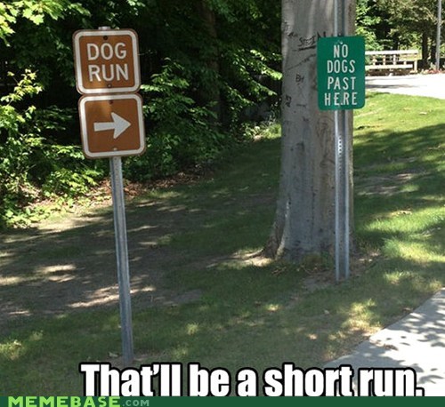 Yeah, I Walked Him, Mom