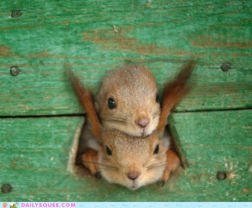 Daily Squee: I Wanna Go Too!