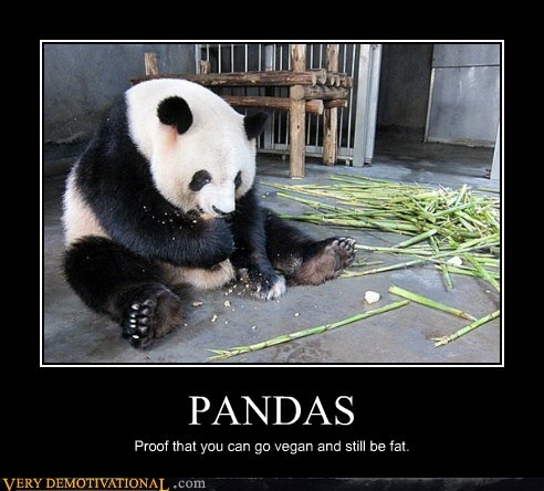 PANDAS