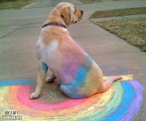 WIN!: Sleeping on Chalk WIN
