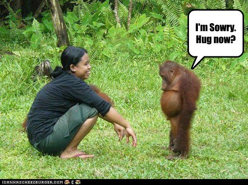 Animal Capshunz: I Can't Stay Mad at That Face