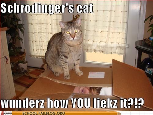 Quantum Physics 350: In Soviet Russia, Schrodinger's Cat Experiments On You!