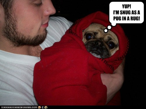 Iz dis a snuggie?