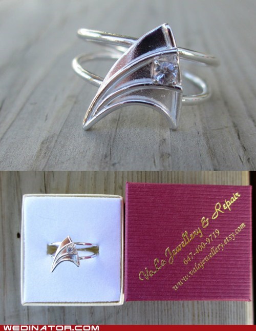 It Was a Starfleet Wedding and The Old Folks Wished Them Well