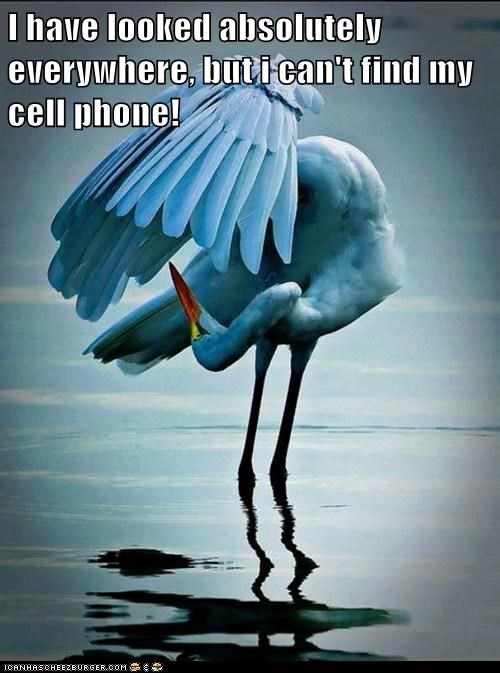 Clearly It's Not On Vibrate
