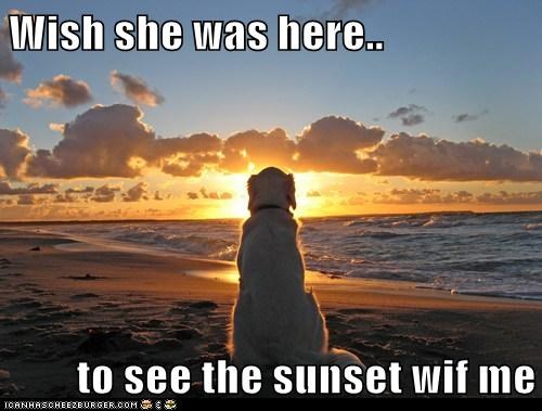 Wish she was here..  to see the sunset wif me