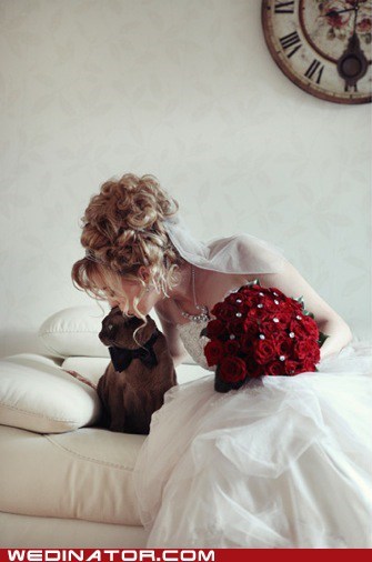You May Now Kiss The Kitteh