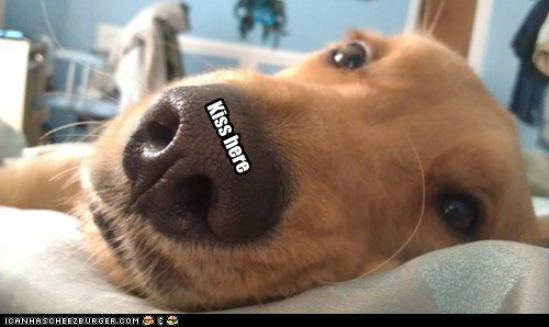 Boop Marks the Spot