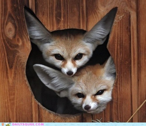 Room For Two 